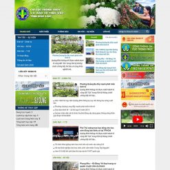 Theme WordPress cơ quan nhà nước