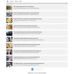Theme WordPress tin tức cho mobile 24